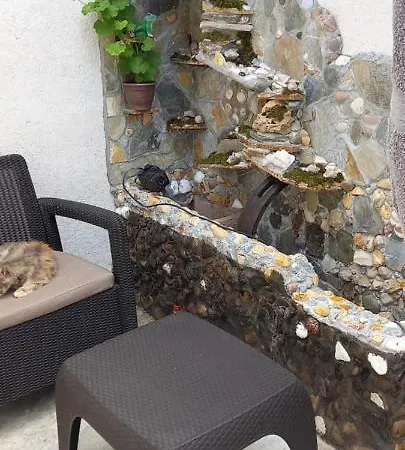Casa De Vacanta Bucuria Marii Konstanca
